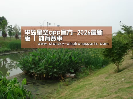案例展示四(图1)