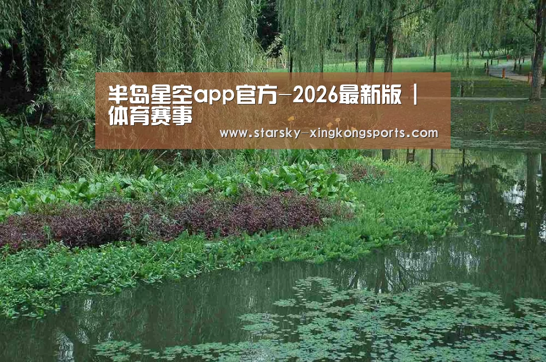 案例展示一(图1)