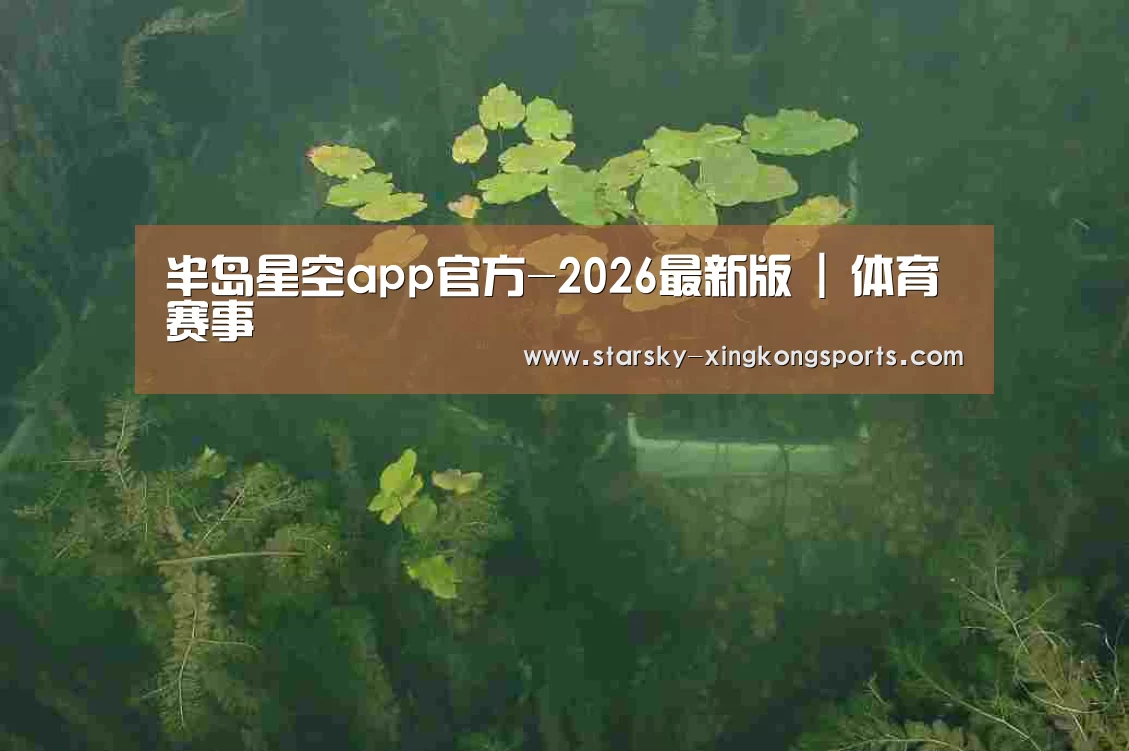 案例展示三(图1)
