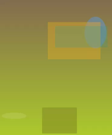 星空体育app