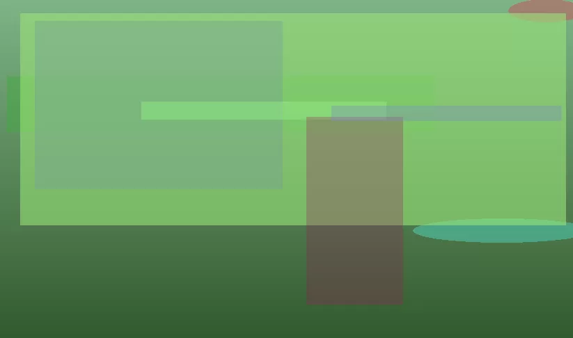 星空体育app