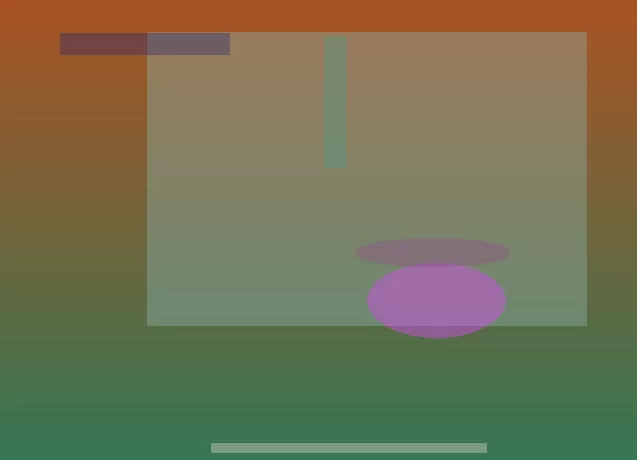 星空体育app