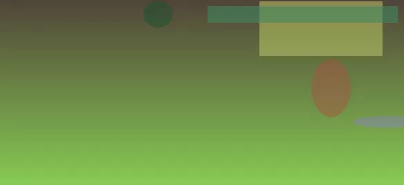 星空体育app
