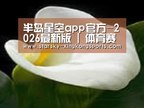 产品名称七