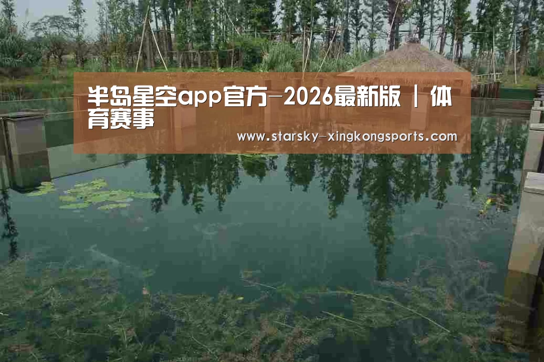 案例展示二