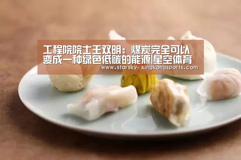 工程院院士王双明:煤炭完全可以变成一种绿色低碳的能源|星空体育app登录(图2) 星空体育app