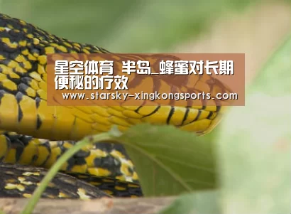星空娱乐