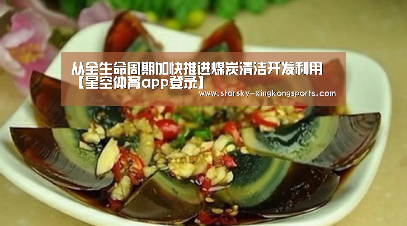 从全生命周期加快推进煤炭清洁开发利用【星空体育app登录】(图3) 星空体育app登录