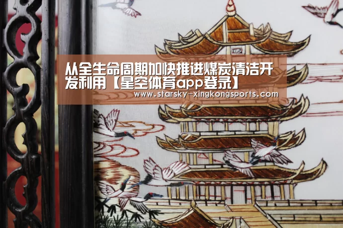 从全生命周期加快推进煤炭清洁开发利用【星空体育app登录】(图1) 星空体育app