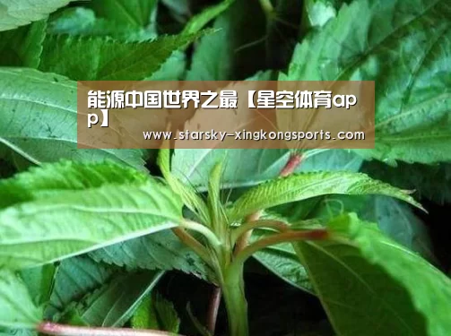 星空娱乐