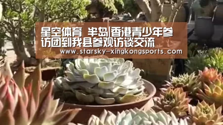 星空娱乐