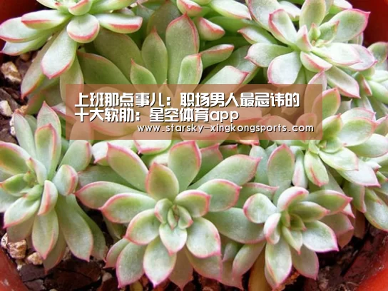 星空体育app登录