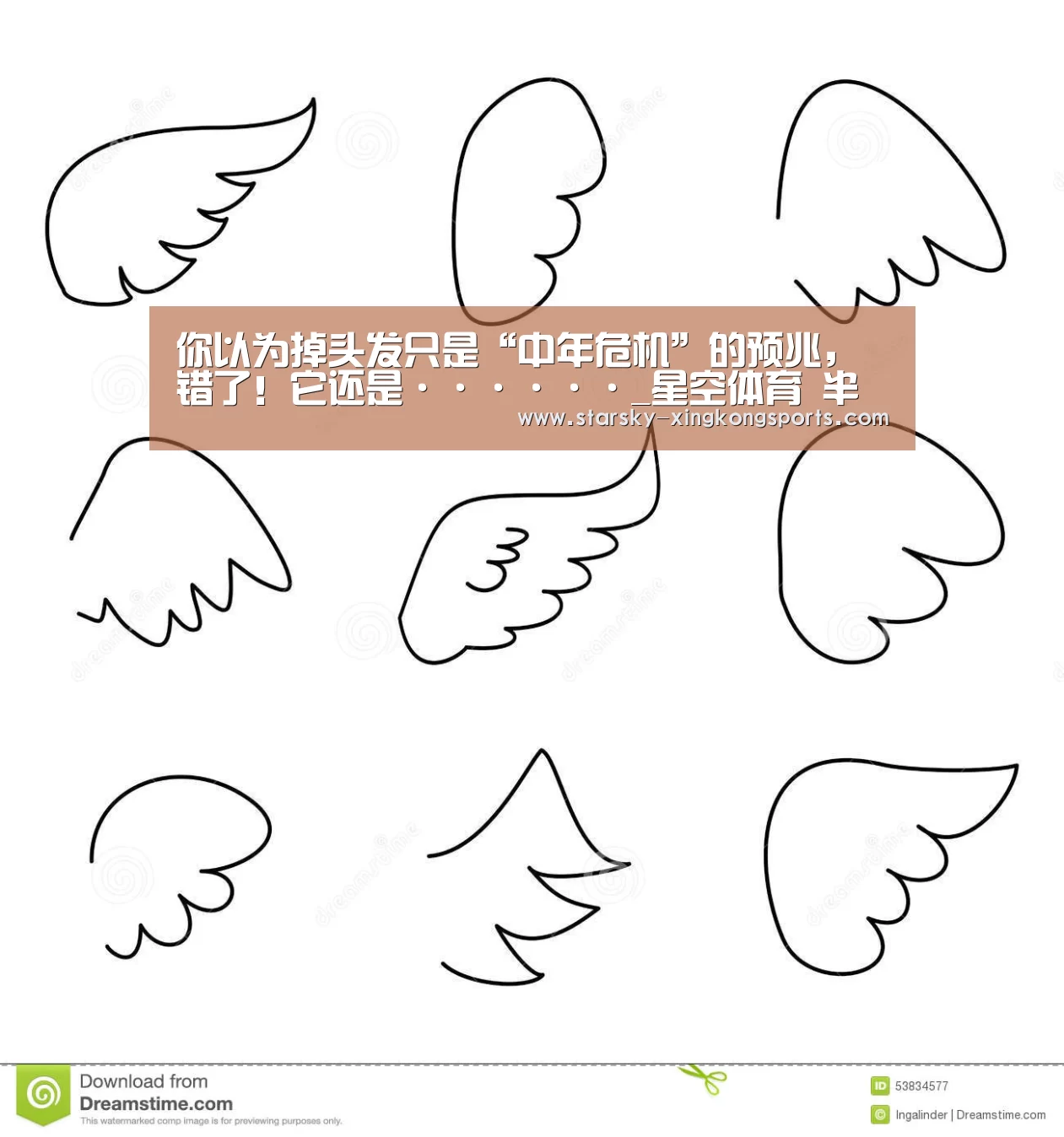 星空娱乐