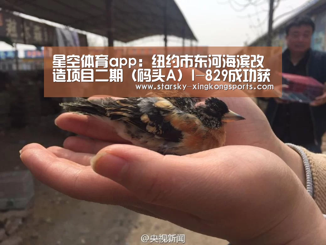 星空体育app:纽约市东河海滨改造项目二期(码头A)I-829成功获批(图2) 星空娱乐