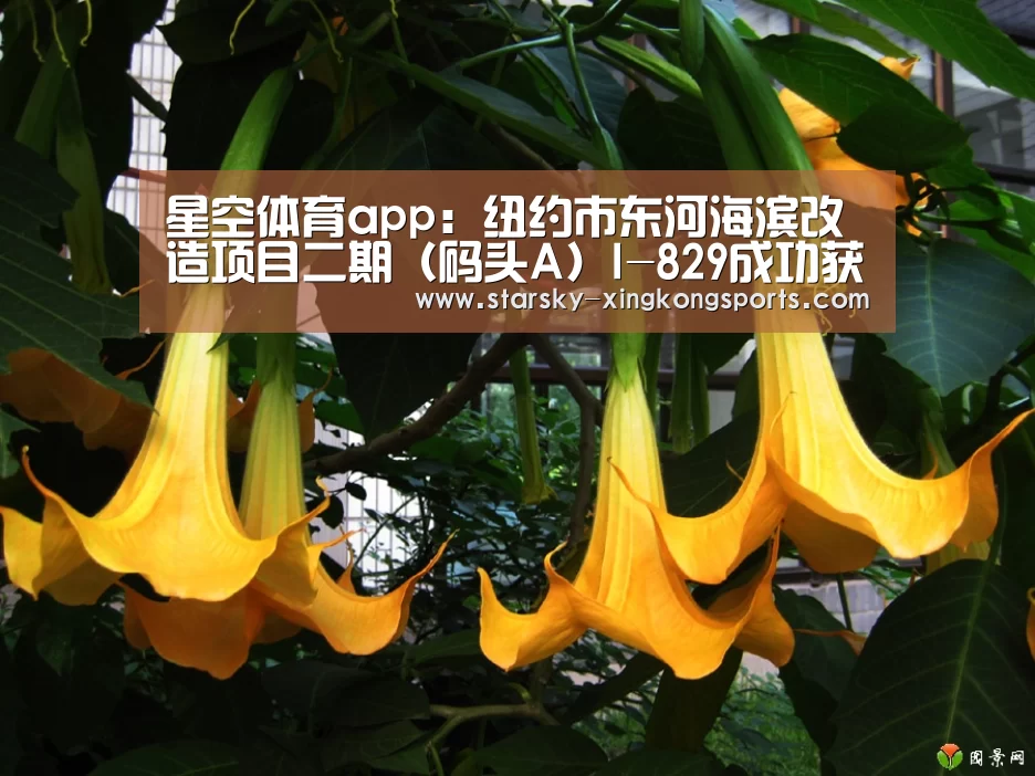 星空体育app:纽约市东河海滨改造项目二期(码头A)I-829成功获批(图3) 星空体育app