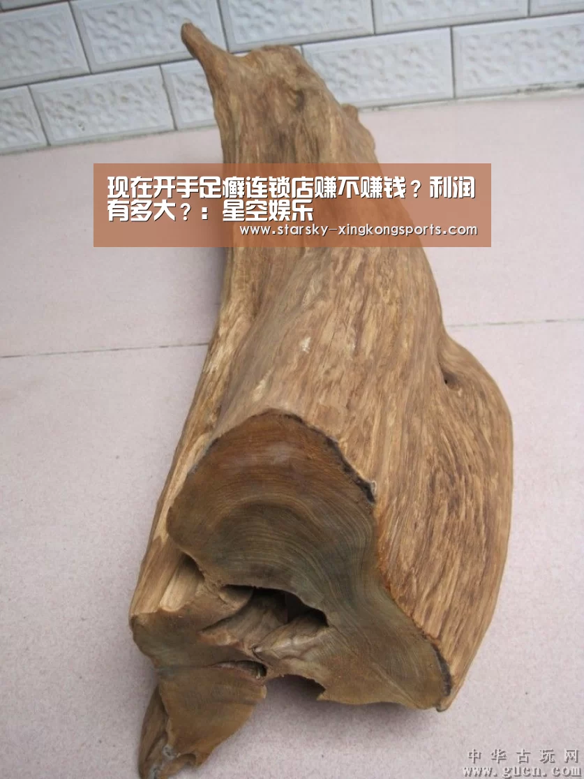 星空体育 半岛