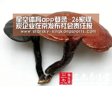 星空体育app