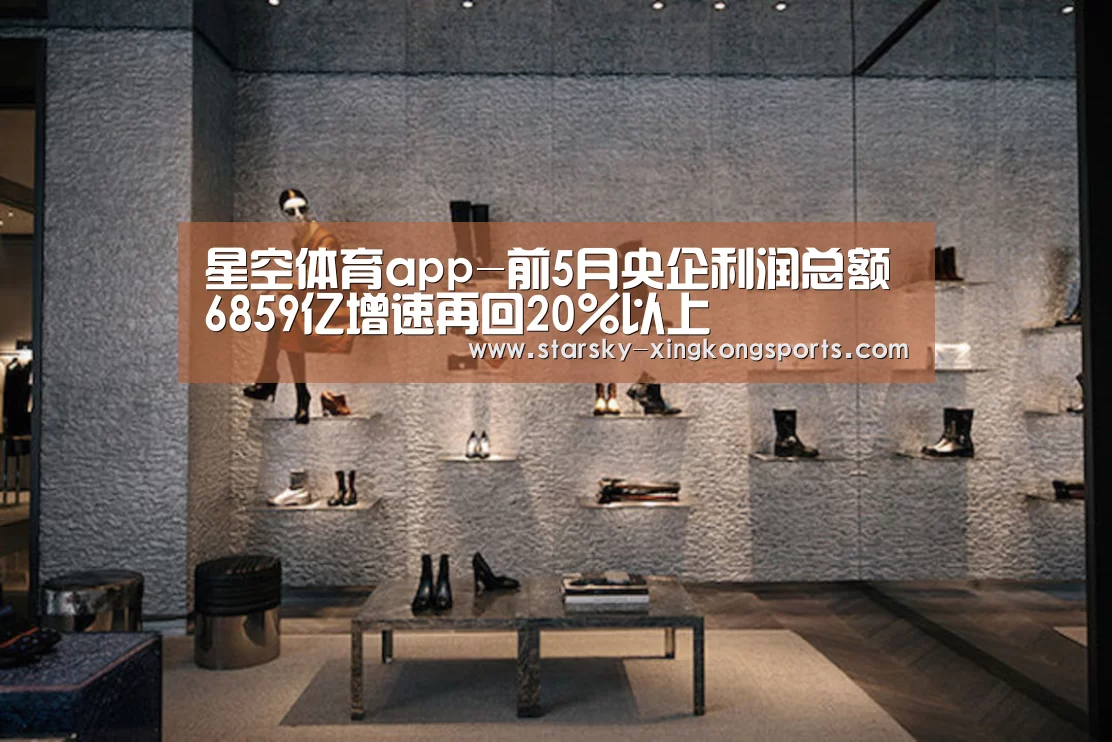 星空体育app-前5月央企利润总额6859亿增速再回20%以上(图3) 星空体育app登录