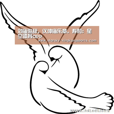 星空娱乐