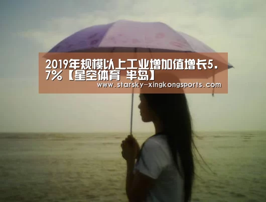 2019年规模以上工业增加值增长5.7%【星空体育 半岛】(图2) 星空体育 半岛