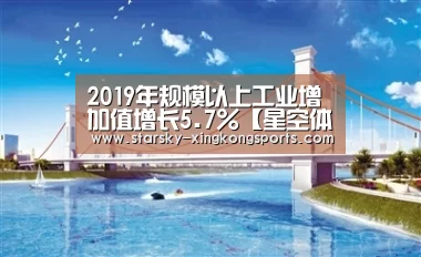 2019年规模以上工业增加值增长5.7%【星空体育 半岛】(图4) 星空娱乐