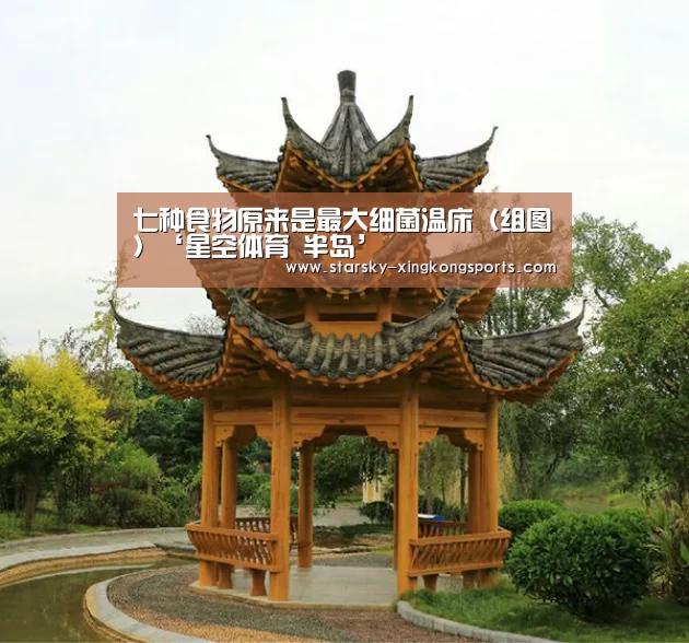 星空体育app登录