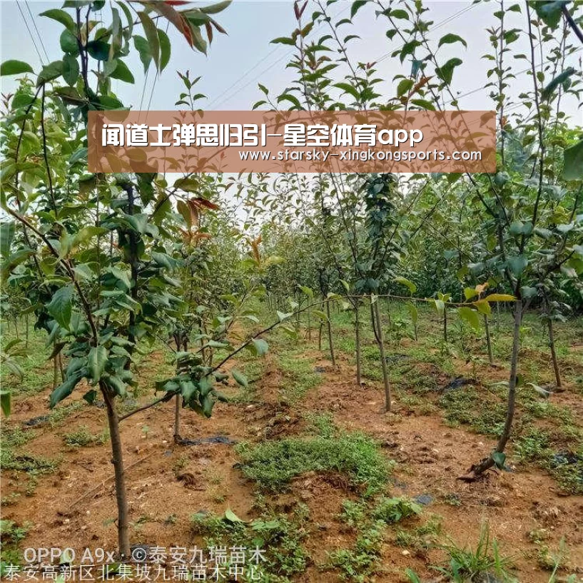 星空体育 半岛